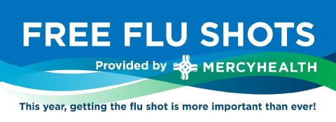 flue shot banner