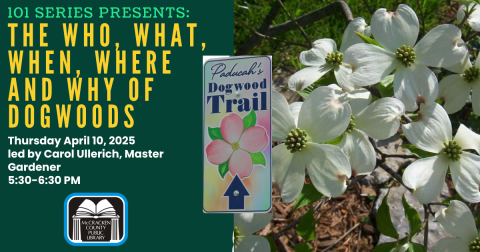 Dogwood Selection & Care 