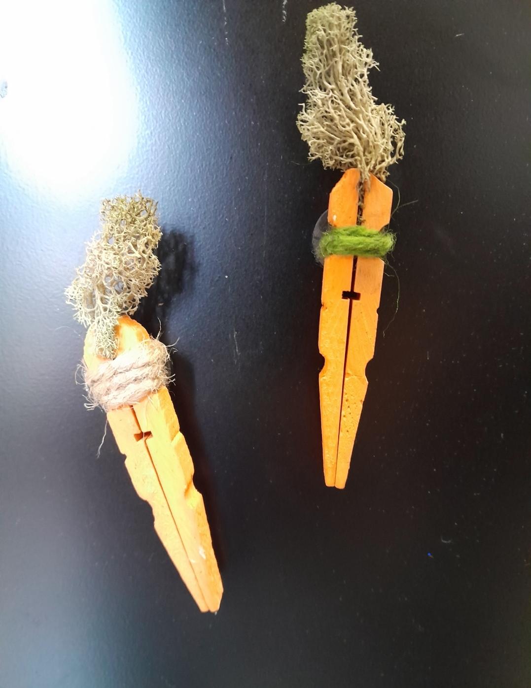 carrot magnets